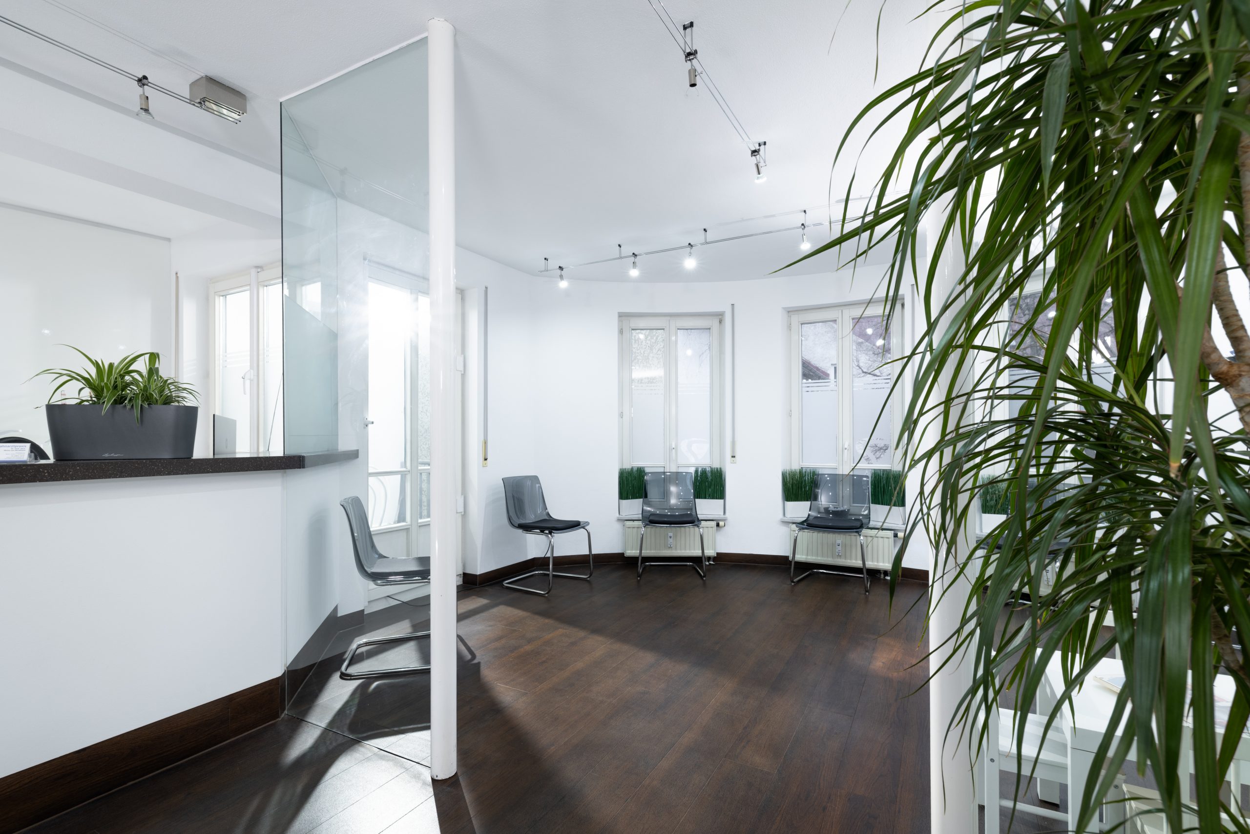 Warteraum Zahnarztpraxis Dr. Micha von Nordheim in Dießen am Ammersee